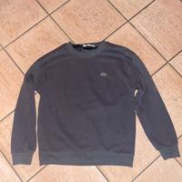 Maglione Lacoste