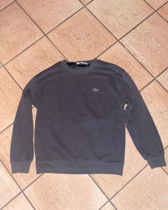 Maglione Lacoste