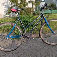 mtb misura 26 Donna