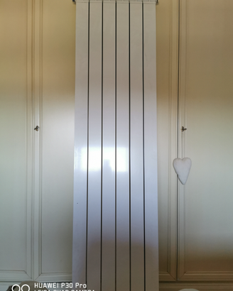 Termosifone in