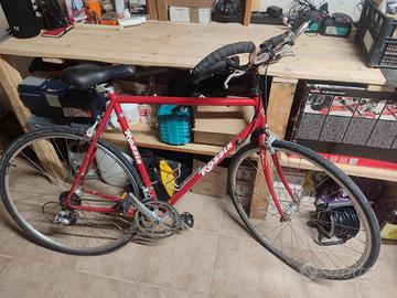 bicicletta da turismo veloce