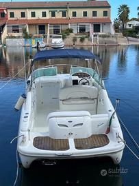 Sessa islamorada 23
