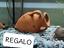 Immagine 5