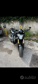 Honda Hornet cb 600f 2009