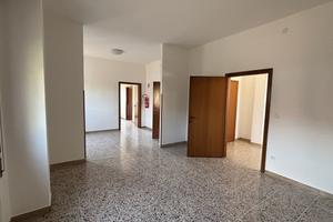 Ufficio Noventa Vicentina [Cod. rif LOC40VCU]