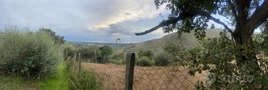 Terreno panoramico 5000 mq con uliveto e pozzi Gra
