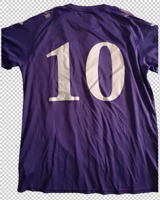 maglia Fiorentina 2013/14