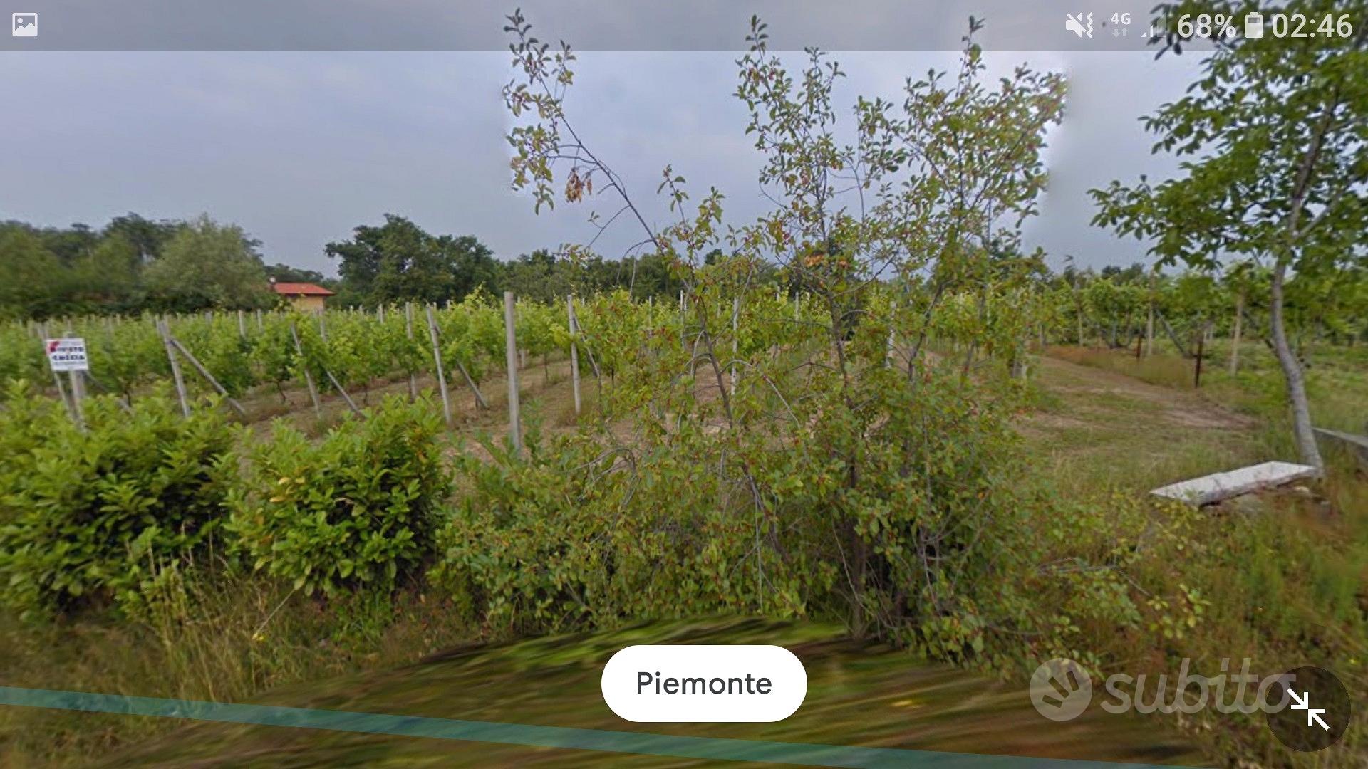 Terreno agricolo di 6330mq - Vista 3