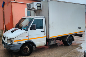 Iveco Daily 35.12 trasporto carne isotermico