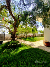 Casa vacanze nel basso Salento