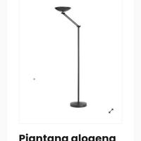 Piantana alogena