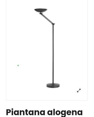 Piantana alogena