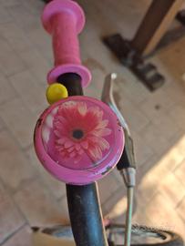 bicicletta poli bambino