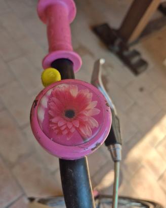 bicicletta poli bambino