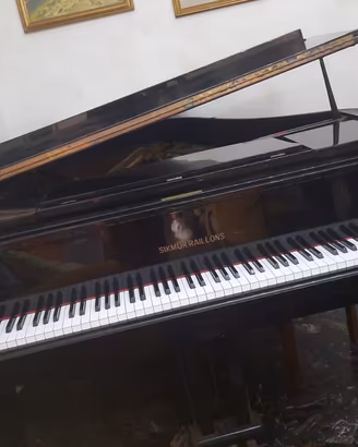 Pianoforte a mezza coda