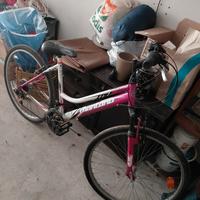 Bicicletta ragazza Montana