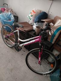 Bicicletta ragazza Montana