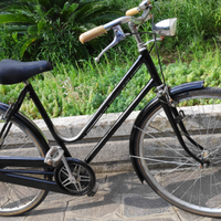Bicicletta vintage
