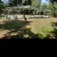 STRUTTURA SERRA DA GIARDINO IN FERRO E LEGNA 