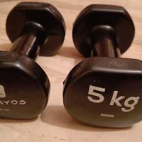 Pesi gommati 5kg x 2 domyos