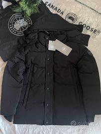 canada goose