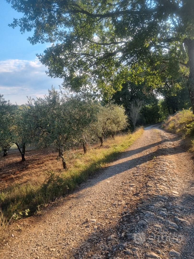 Terreno agricolo panoramico - Vista 3