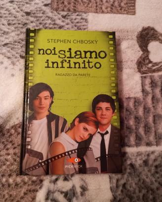 noi siamo infinito