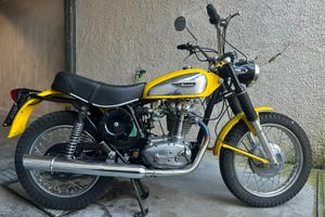 Ducati scrambler