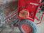 Immagine 4