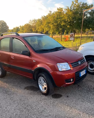 Fiat Panda 4x4 tdi-neo patentati-tagliandata-anno 