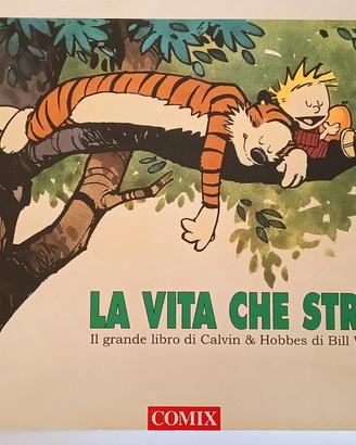Libro Calvin & Hobbes la vita che stress