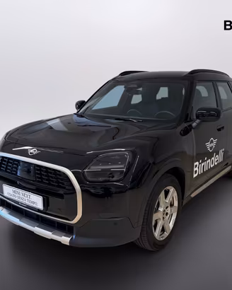 MINI MINI Countryman D