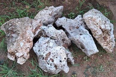 Rocce ornamentali bucate per giardino