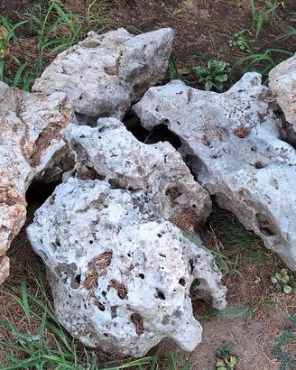 Rocce ornamentali bucate per giardino