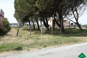 TER. RESIDENZIALE A SPELLO