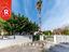 Immagine 12