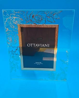 Cornice foto Ottaviani 60030 Rose 25x30 ZYQ 00066