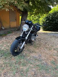honda hornet 600