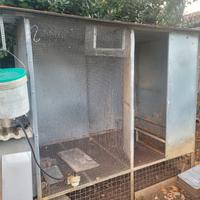 Voliera per colombi 10 paia