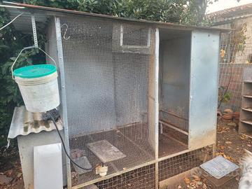 Voliera per colombi 10 paia