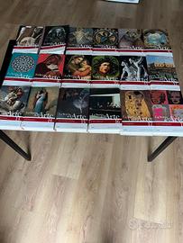 Enciclopedia Raccolta Mondadori Storia dell'Arte