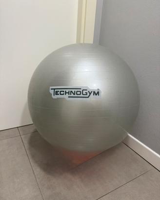 Palla Fitness