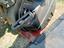 Immagine 3