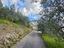 Immagine 27