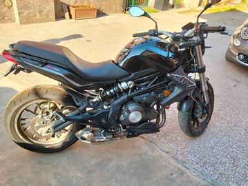 Benelli BN 302 - 2015
