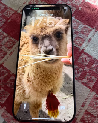 iPhone 17pro 256gb Deep Blue