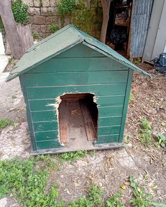 cuccia per cani