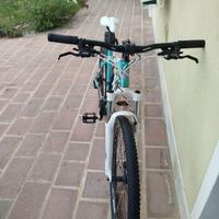 mountain bike