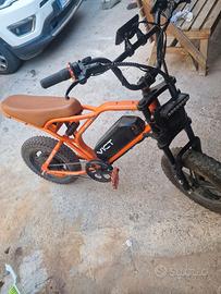 e bike victrip