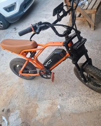 e bike victrip